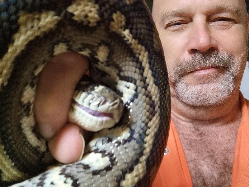 Coastal_Carpet_Python__Morelia_spilota_mcdowelli__669.jpg